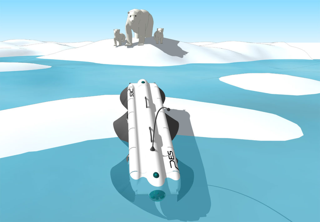 Der Velox ist am Nordpol und beobachtet eine Eisbärenfamilie in einiger Entfernung
