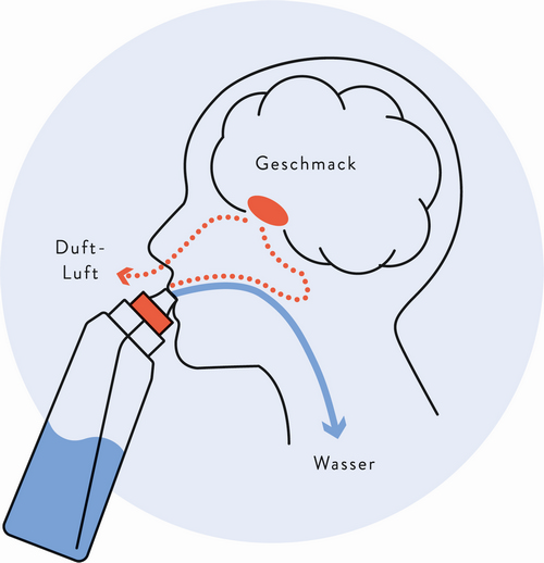 air up: Trinkflasche verwandelt Geruch in Geschmack