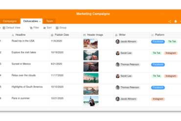 Screenshot von SeaTable
