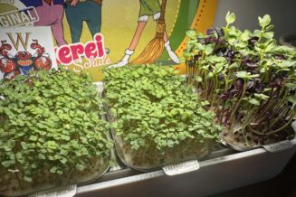 Ingarden Rabattcode: 10 % auf frisches Grün sparen