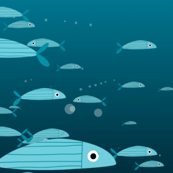 Zentrum für Digitalrechte und Demokratie