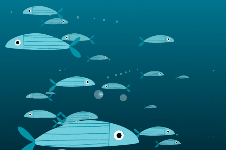 Zentrum für Digitalrechte und Demokratie