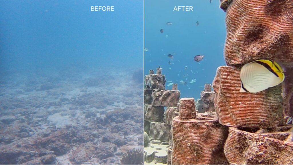 rrreefs vorher nachher Bild
