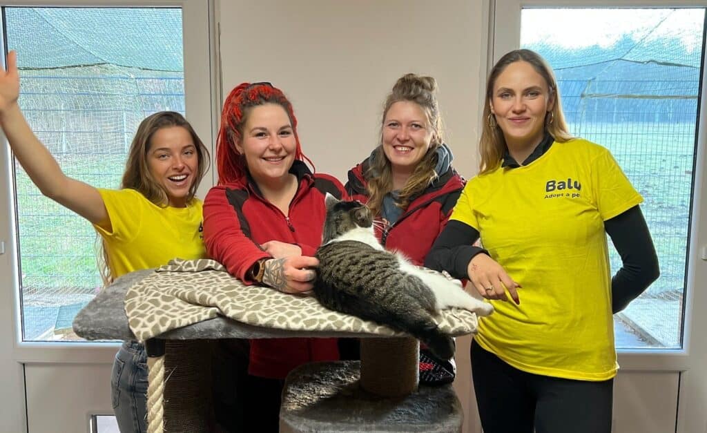 balu: 4 Frauen stehen um einen Katzenbaum herum und lächeln in die Kamera. Auf dem Katzenbaum liegt eine weiß-graue Katze